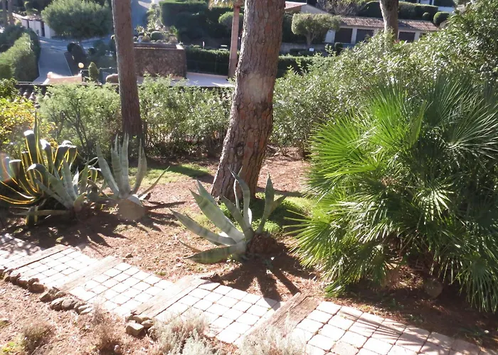 2 Pièces Avec Jardin, Garage Et Piscine à - Fr-1-780-45 Appartamento Sainte-Maxime