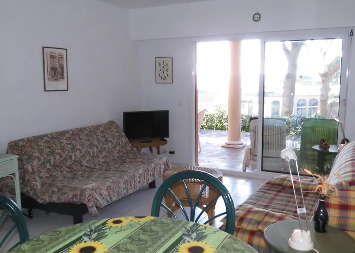 Daire 2 Pieces Avec Piscine Et Garage, Animaux Acceptes A - Fr-1-780-45 Sainte-Maxime