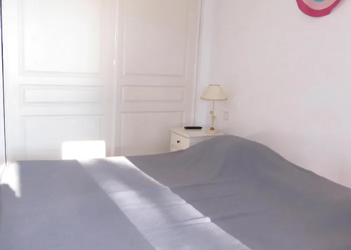 Daire 2 Pieces Avec Piscine Et Garage, Animaux Acceptes A - Fr-1-780-45 *